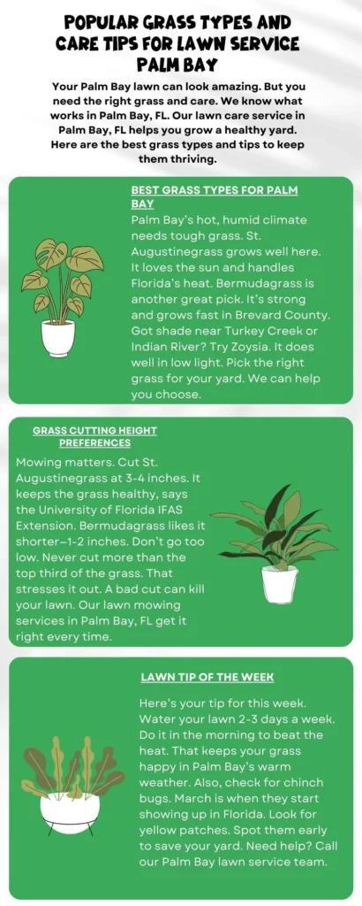Lawn Service Palm Bay, Florida, with Top-Rated Lawn Care Services 2025 12 Popular grass types and care tips for Palm Bay lawn Services