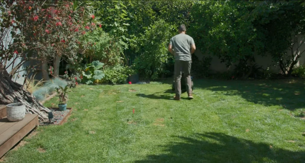 Lawn Maintenance in Palm Bay, FL 1 Lawn maintenance Palm Bay