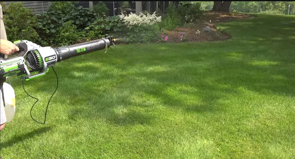 Lawn Mosquito Control in Palm Bay, FL 1 Lawn Mosquito Control Palm Bay