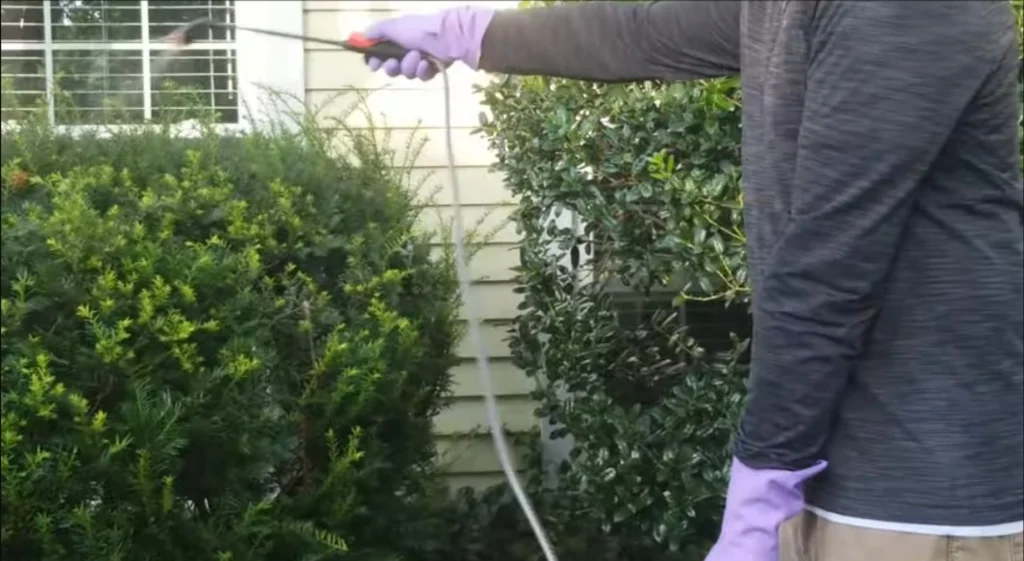 Lawn Mosquito Control in Palm Bay, FL 2 Lawn Mosquito Control Palm bay, FL