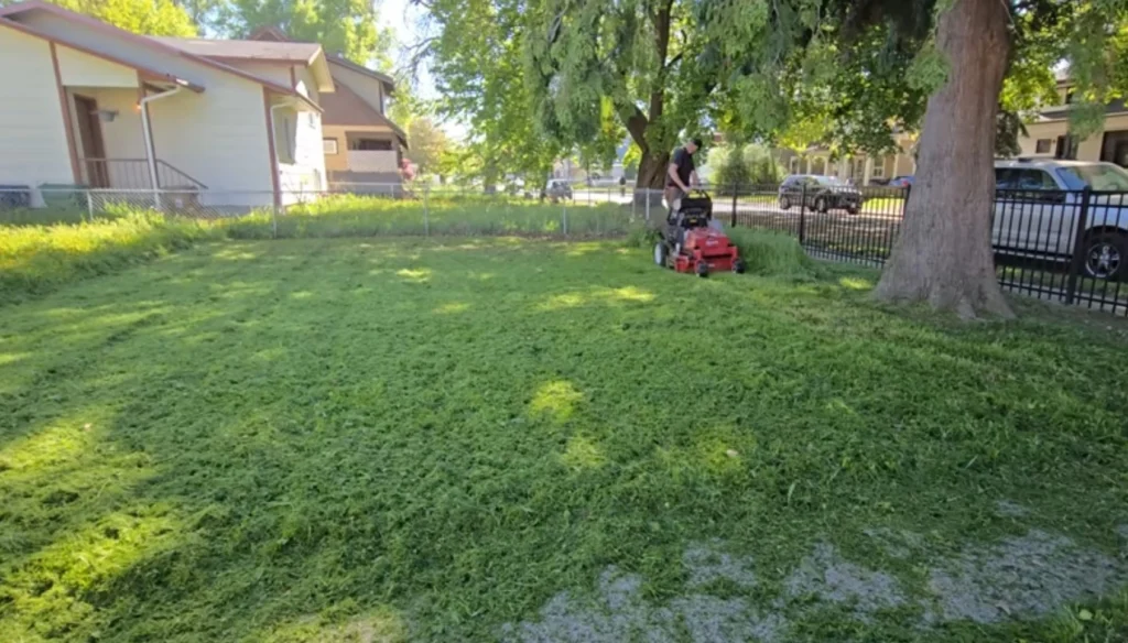 Lawn Mowing and Edging in Palm Bay, FL 1 Lawn Mowing and Edging