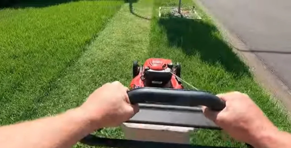 Lawn Mowing and Edging in Palm Bay, FL 2 Lawn Mowing and Edging Palm Bay FL