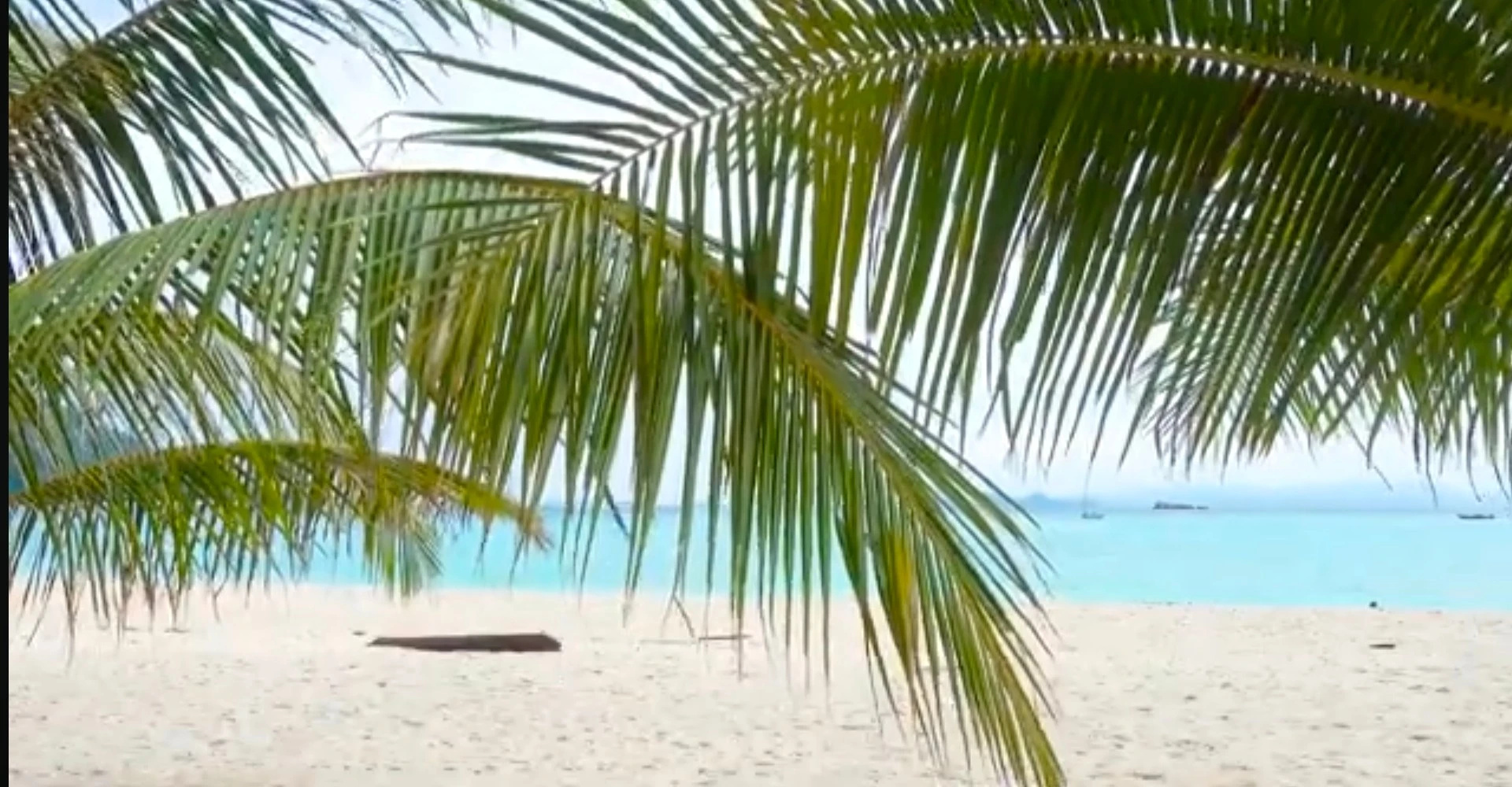 5 Easy Ways to Keep Your Palm Bay Lawn Green in Summer 1 5 Ways to Keep Palm bay Lawn Green