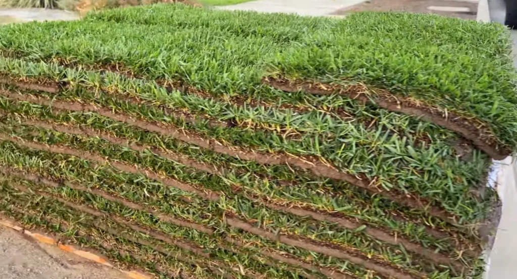 Sod Installation Palm Bay, FL 3 Green Guardians Sod Installation Palm Bay