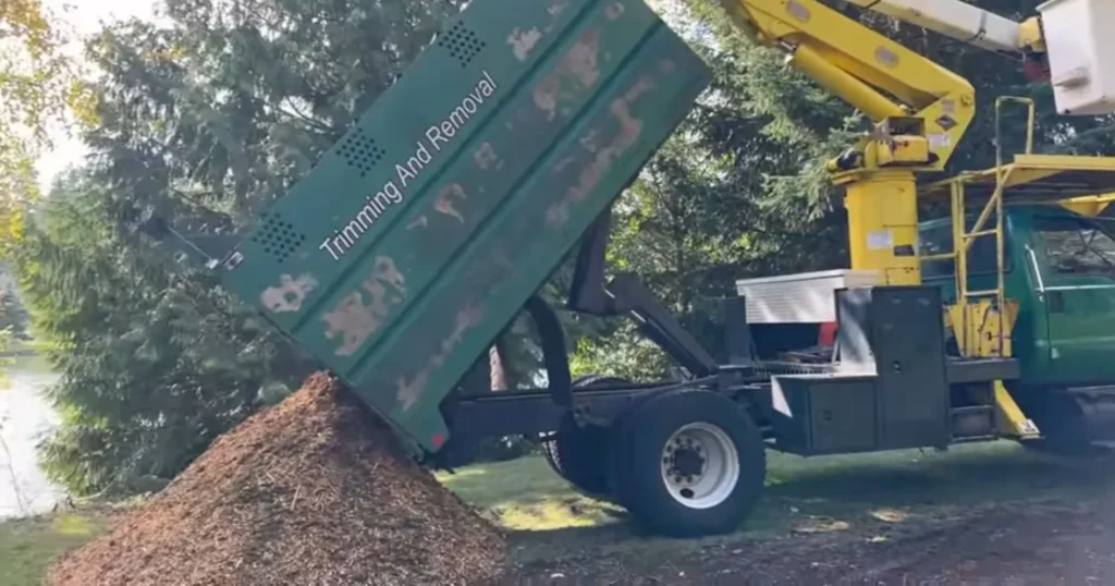 Land Clearing