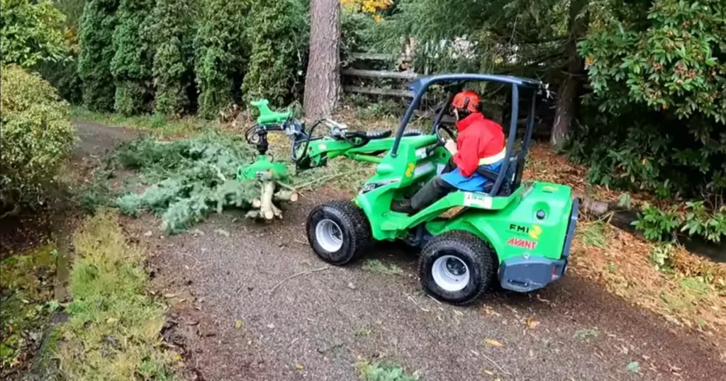Green Guardians Tree Service Palm Bay