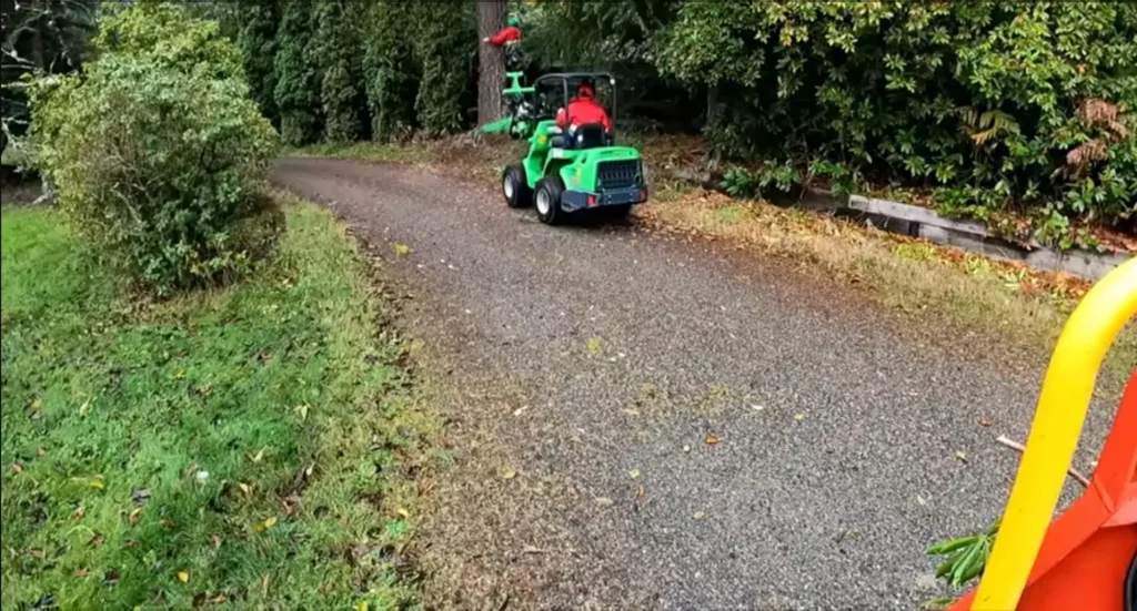 Green Guardians Tree Cutting Service Palm Bay