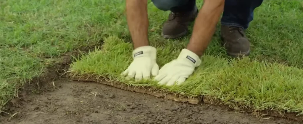 Lawn Service Palm Bay, Florida, with Top-Rated Lawn Care Services 2025 5 Sod Installation Green Guardians Palm bay